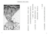必讀橋梁書 - 人氣作家工藤紀子 - 《野貓軍團和大海怪》