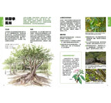 現貨 69折發售！一看就懂森林之島：走入大自然.親近台灣森林的第一本書