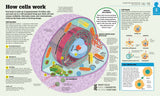 How the Body Works - The FACTS Visually Explained (Hardback)