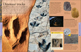 DK - Dinosaurs A Children's Encyclopedia