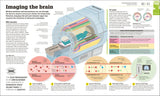 How the Brain Works - The FACTS Visually Explained (Hardback)