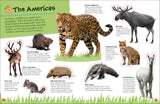 Animals Ultimate Sticker Book