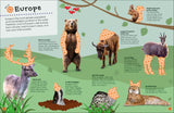 Animals Ultimate Sticker Book